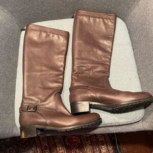 Aquatalia Ohanna Tall Italian Leather weatherproof boot
